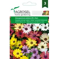 Африкански Маргаритки Микс Osteospermum ecklonis