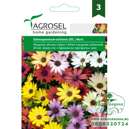 Африкански Маргаритки Микс / Osteospermum ecklonis