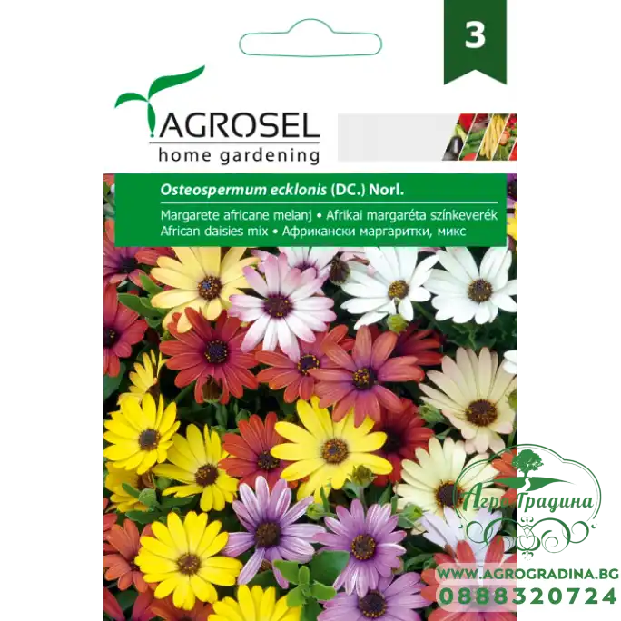 Африкански Маргаритки Микс Osteospermum ecklonis