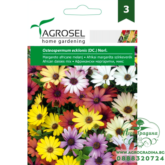 Африкански Маргаритки Микс Osteospermum ecklonis Африкански Маргаритки Микс Osteospermum ecklonis