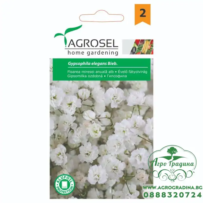 Гипсофила / Gypsophila elegans Beib