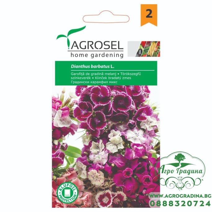 Градински Карамфил Микс / Diantus barbatus