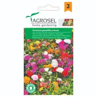 Калдаръмче Кичесто Микс Portulaca grandiflora Hook