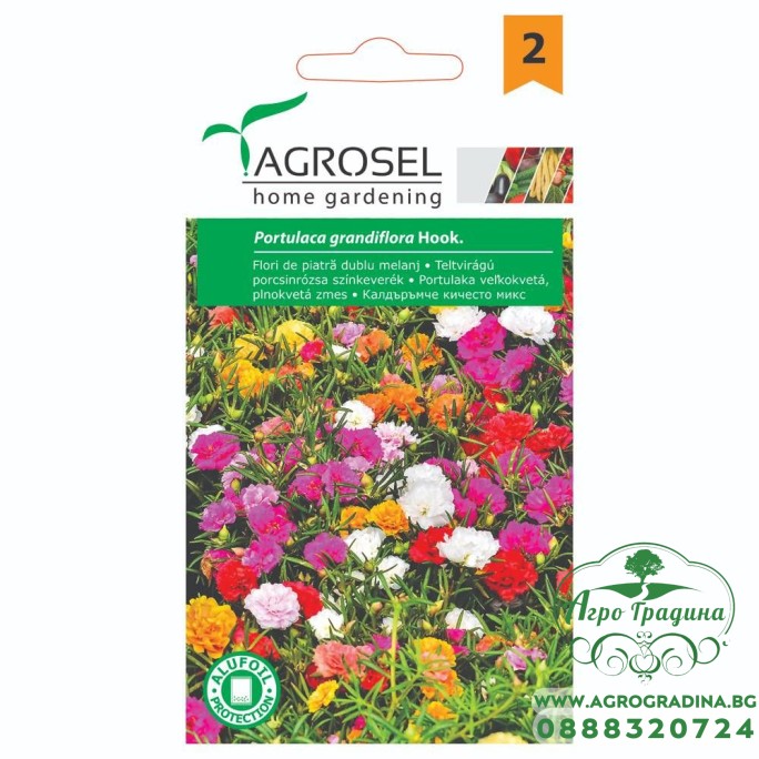 Калдаръмче Кичесто Микс Portulaca grandiflora Hook