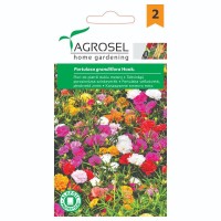 Калдаръмче Кичесто Микс Portulaca grandiflora Hook