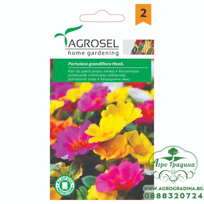 Калдаръмче Микс Portulaca grandiflora Hook