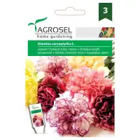 Карамфил Шабо Микс Dianthus caryophyllus