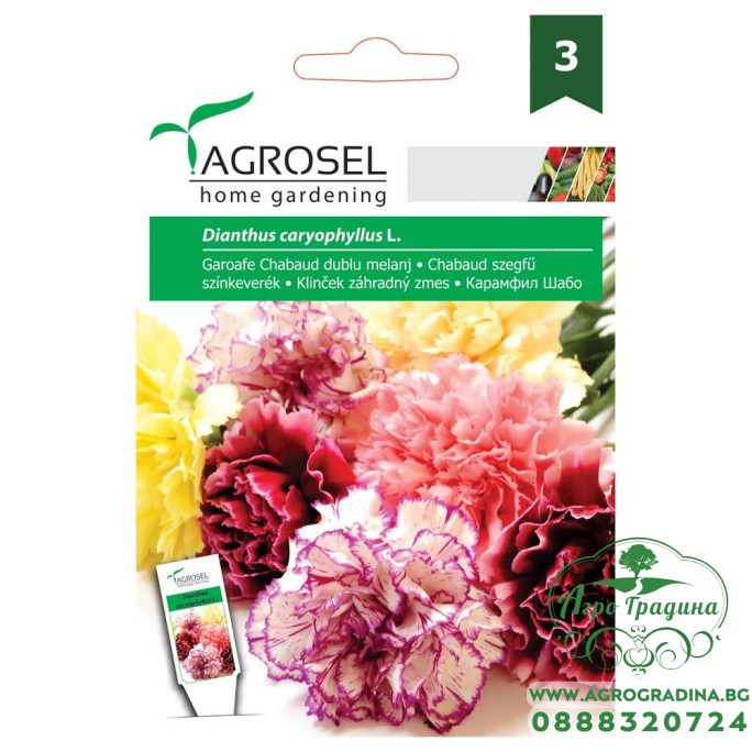 Карамфил Шабо Микс Dianthus caryophyllus Карамфил Шабо Микс Dianthus caryophyllus