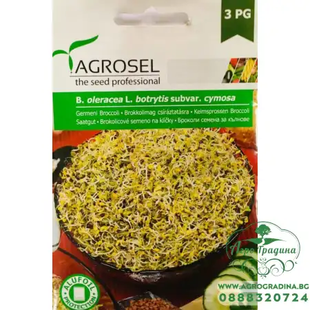 Семена Броколи за Кълнове