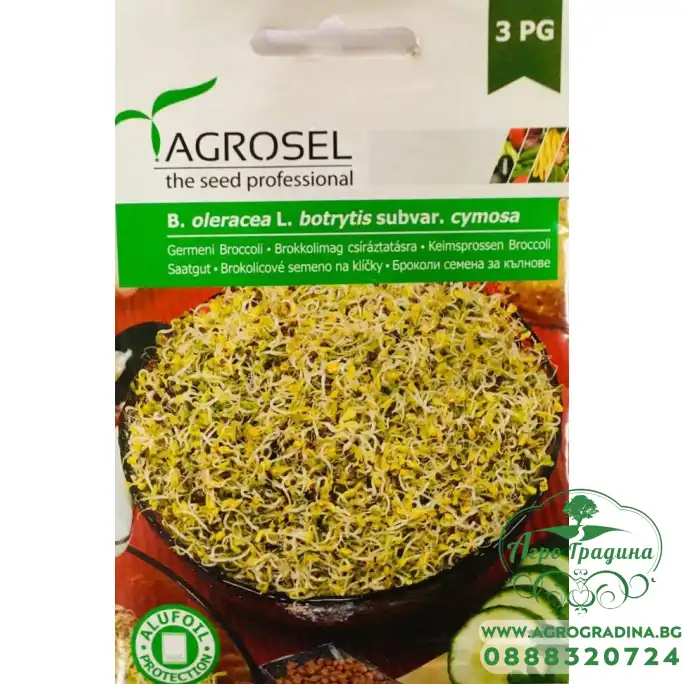 Семена Броколи за Кълнове