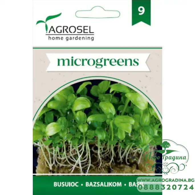 Семена за Микро Босилек (Ocimum basilicum) - 4 гр Семена за Микро Босилек (Ocimum basilicum) - 4 гр