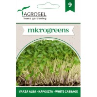 Семена за Микро Бяло зеле (Brassica oleracea var capitata) - 8 гр