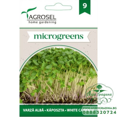 Семена за Микро Бяло зеле (Brassica oleracea var capitata) - 8 гр