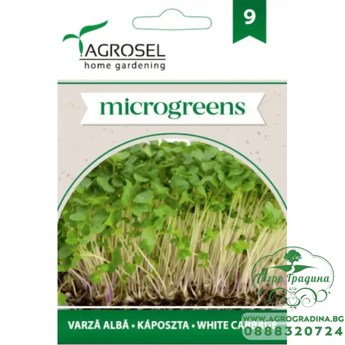 Семена за Микро Бяло зеле (Brassica oleracea var capitata) - 8 гр Семена за Микро Бяло зеле (Brassica oleracea var capitata) - 8 гр