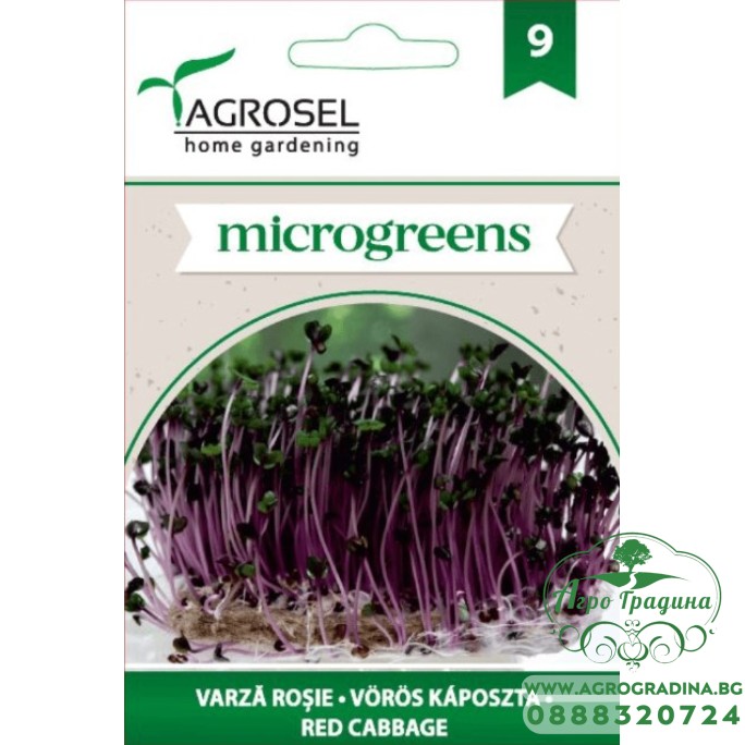 Семена за Микро Червено зеле (Brassica oleracea var capitata f rubra) - 8 гр