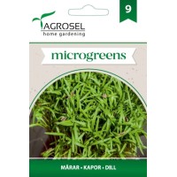 Семена за Микро Копър (Anethum graveolens L) - 5 гр