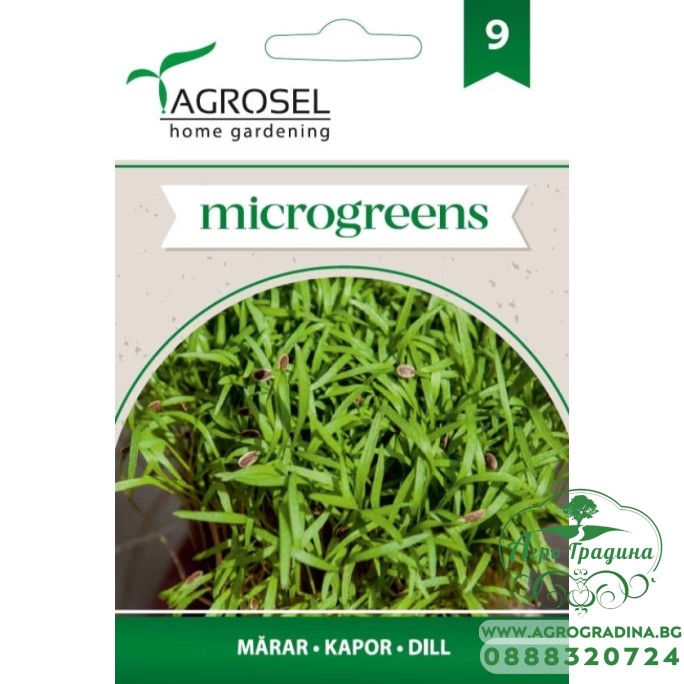 Семена за Микро Копър (Anethum graveolens L) - 5 гр