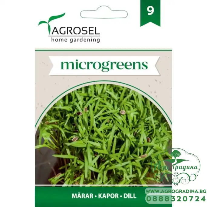 Семена за Микро Копър (Anethum graveolens L) - 5 гр Семена за Микро Копър (Anethum graveolens L) - 5 гр