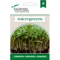 Семена за Микро Кориандър (Coriandrum sativum) - 4 гр