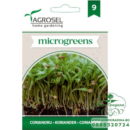 Семена за Микро Кориандър (Coriandrum sativum) - 4 гр
