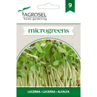 Семена за Микро Люцерна (Medicago sativa) - 5 гр