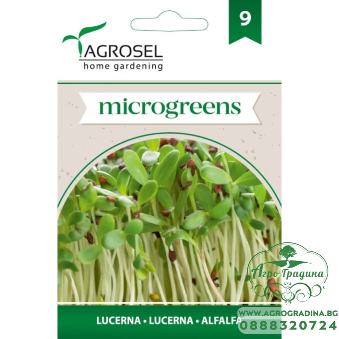 Семена за Микро Люцерна (Medicago sativa) - 5 гр