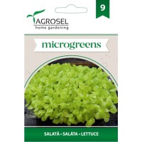 Семена за Микро Салата (Lactuca sativa L) - 5 гр