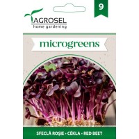 Семена за Микро Салатно Цвекло (Beta vulgaris) - 5 гр