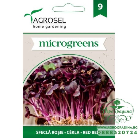 Семена за Микро Салатно Цвекло (Beta vulgaris) - 5 гр