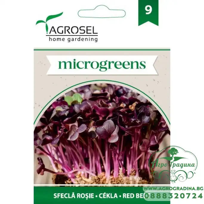 Семена за Микро Салатно Цвекло (Beta vulgaris) - 5 гр Семена за Микро Салатно Цвекло (Beta vulgaris) - 5 гр