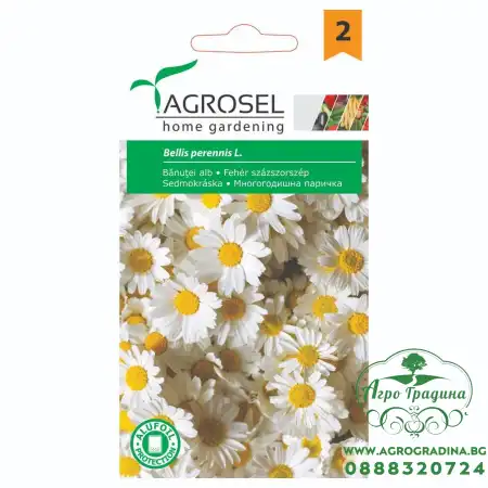 Многогодишна паричка