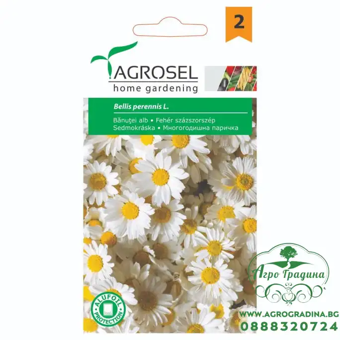 Многогодишна паричка