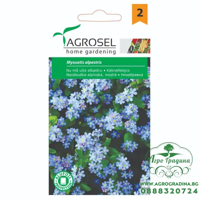Незабравка Myosotis alpestris