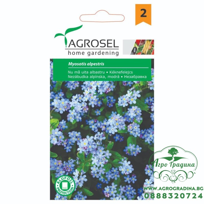 Незабравка Myosotis alpestris Незабравка Myosotis alpestris