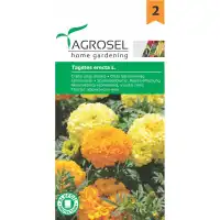 Тагетес Африкански Гигант Микс Tagetes erecta L