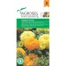 Тагетес Африкански Гигант Микс Tagetes erecta L – Саксийни и градински цветя