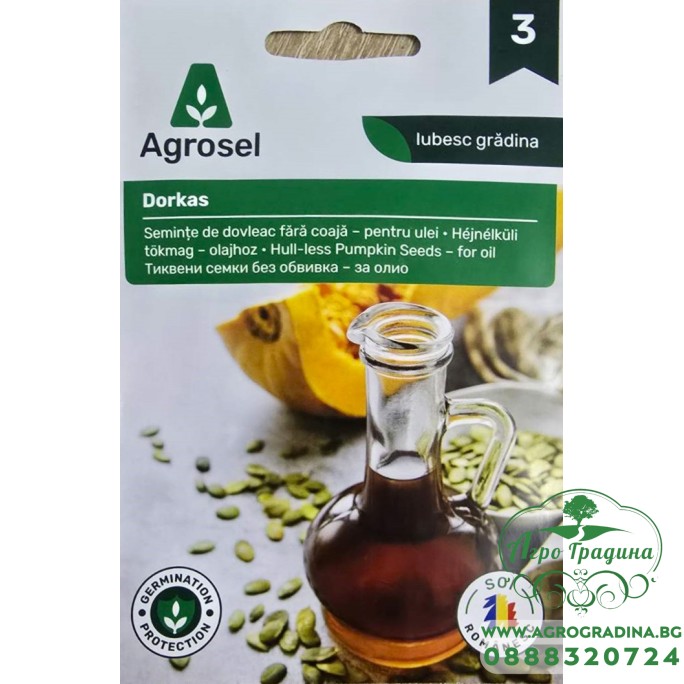 Тиква Доркас (с голо семе) Cucurbita pepo L Dorkas - за олио Тиква Доркас (с голо семе) Cucurbita pepo L Dorkas - за олио