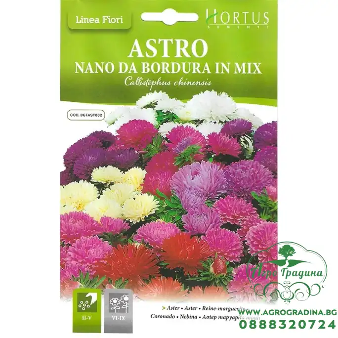 Астри Джудже Микс Callistephus chinensis