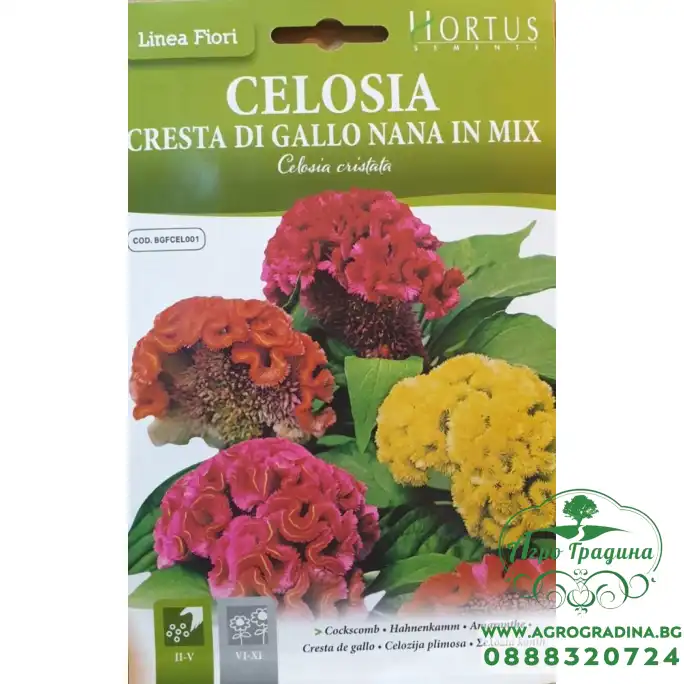 Целозия Джудже Микс Celosia cristata