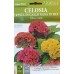 Целозия Джудже Микс Celosia cristata – Саксийни и градински цветя