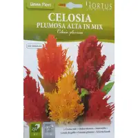 Целозия Висока Микс Celosia plumosa