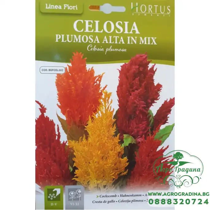 Целозия Висока Микс Celosia plumosa