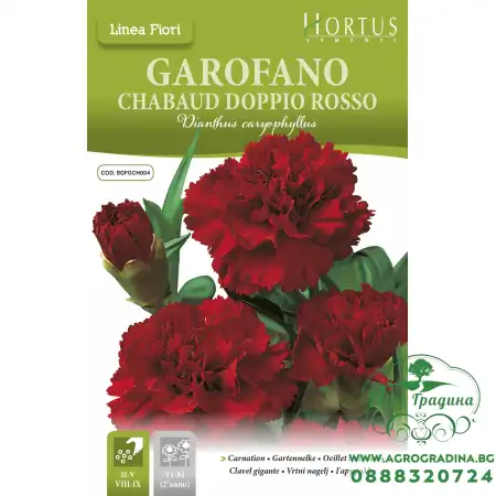 Карамфил Двоен Червен Чабауд Dianthus caryophyllus