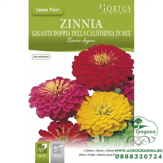 Циния Двойна Голяма Калифорнийски Микс Zinnia Elegans