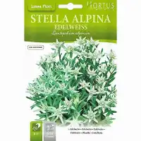 Семена за Еделвайс (Алпийска звезда) Leontopodium alpinum