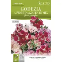 Годеция Микс Godetia grandiflora