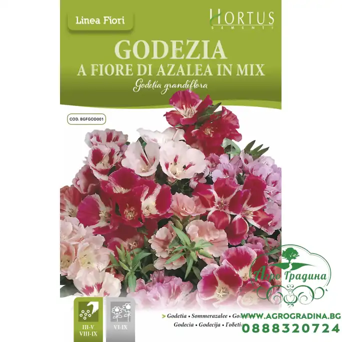 Годеция Микс Godetia grandiflora