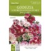 Годеция Микс / Godetia grandiflora