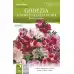 Годеция Микс Godetia grandiflora