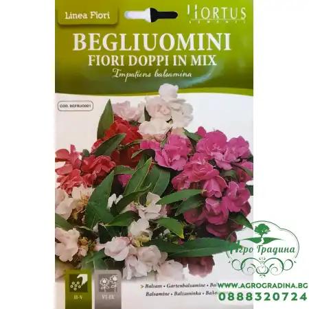 Импатиенс двоен Микс Impatiens balsamina